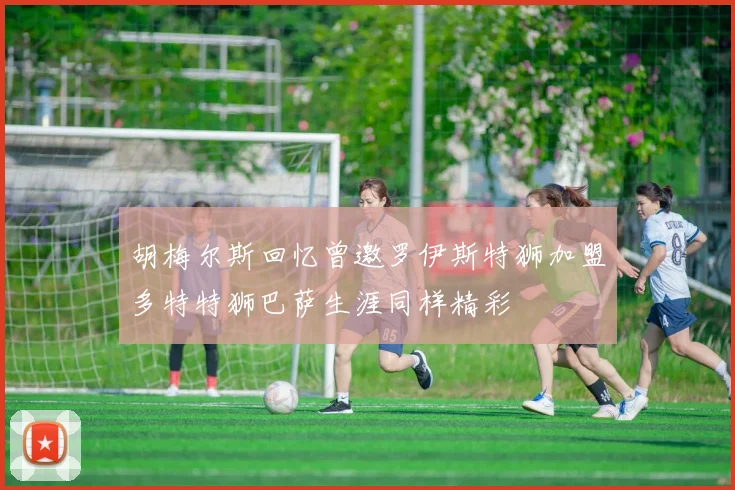 胡梅尔斯回忆曾邀罗伊斯特狮加盟多特特狮巴萨生涯同样精彩